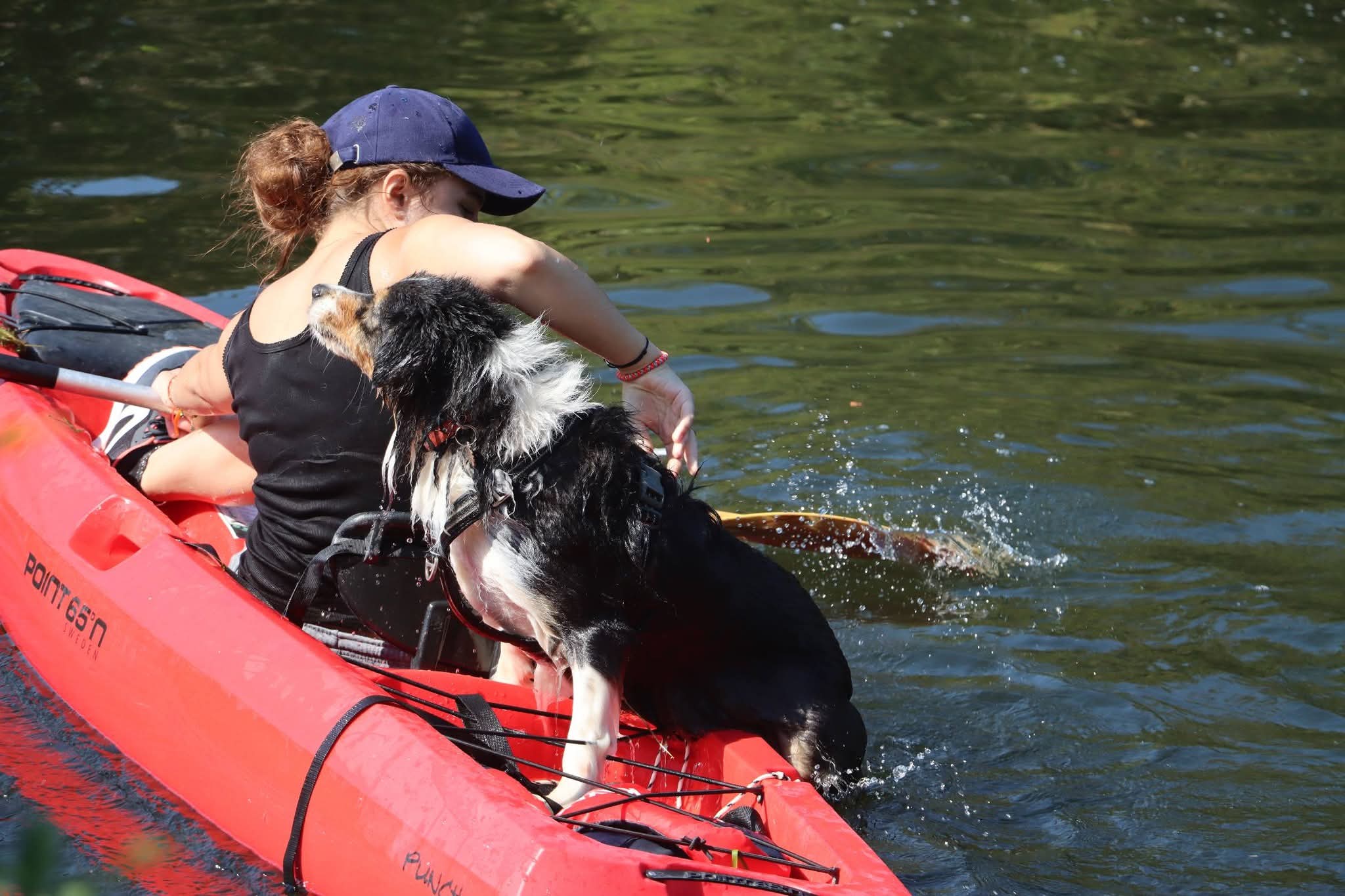 Moment de détente au bord de l'eau