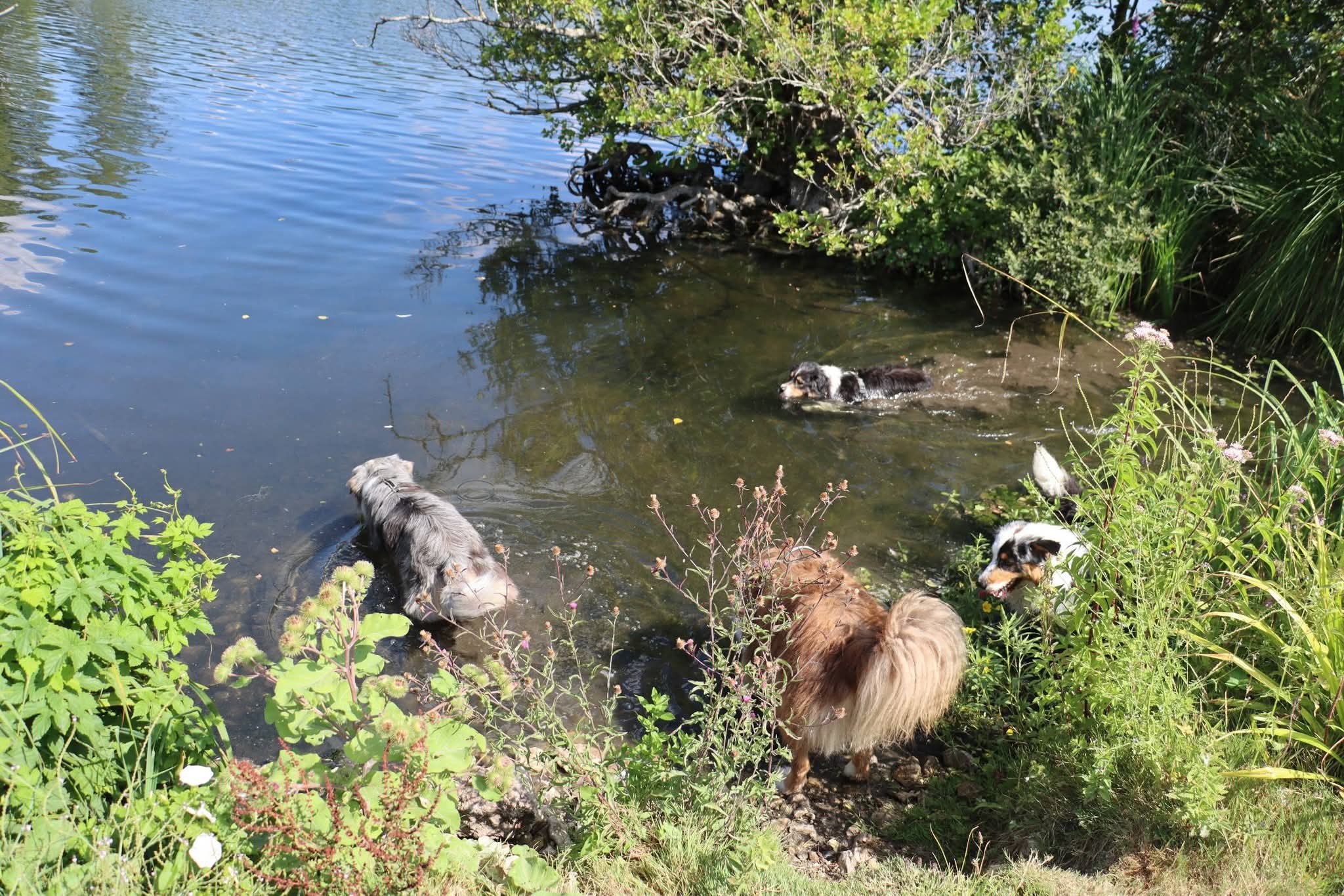 Pause et complicité au bord du canal