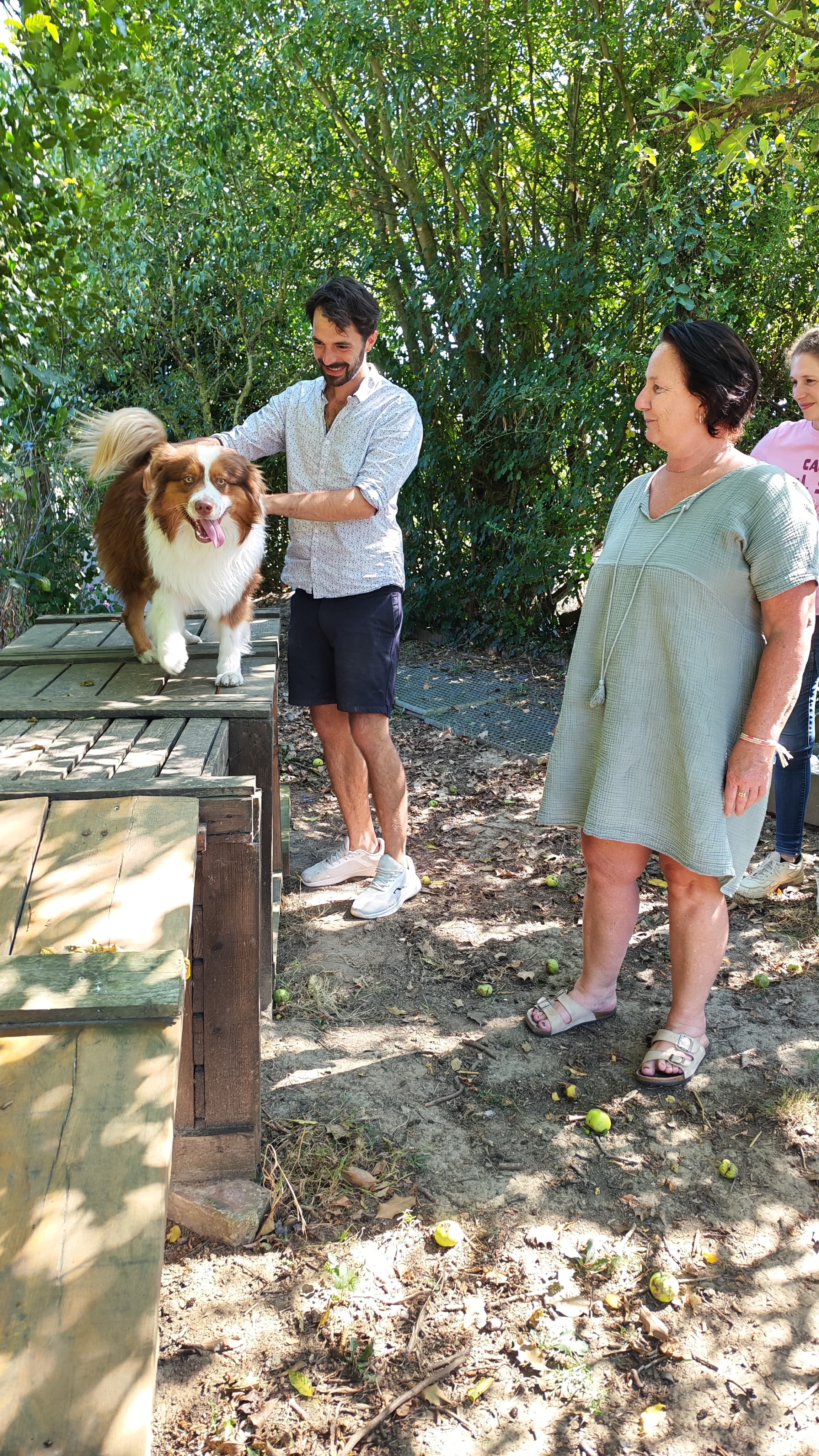 Manipulation douce d'un berger australien sur le parcours du parc